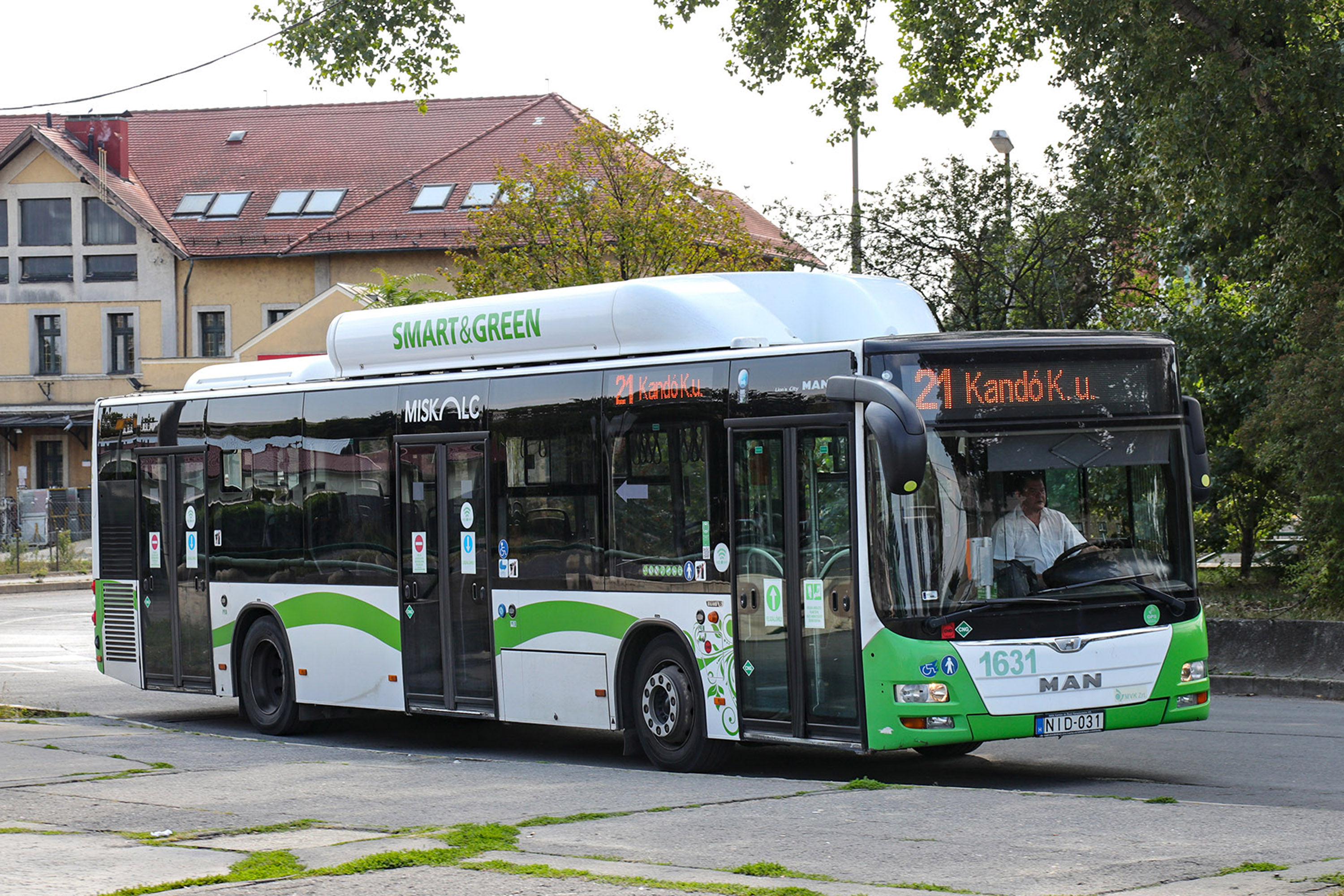 MAN LIONS CITY A21 CNG single low-floor bus
